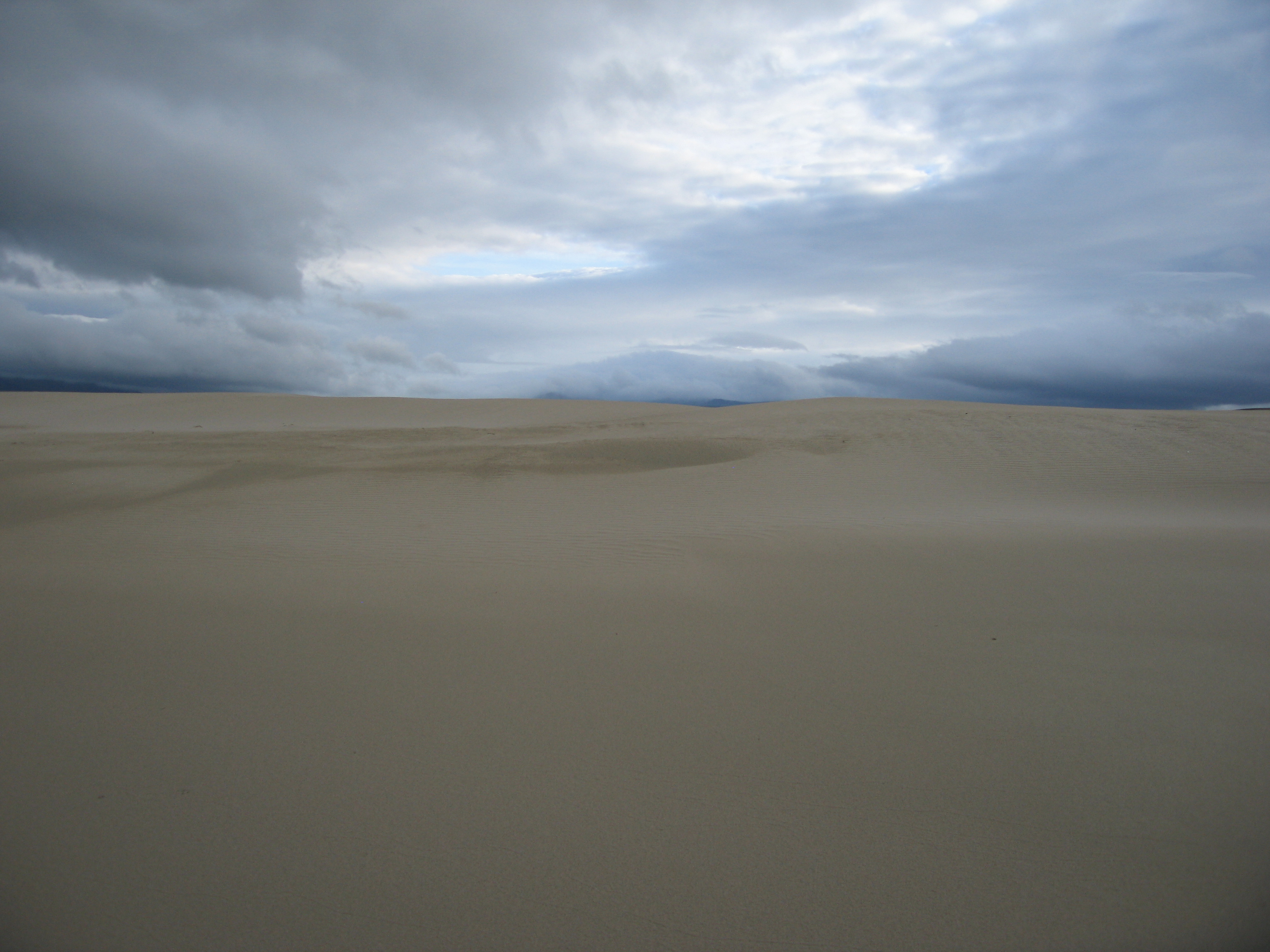 Sand in the Kyle of Tongue, near Melness